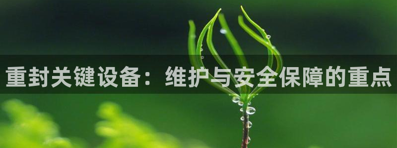 天宏娱乐龙叔：重封关键设备：维护与安全保障的重点