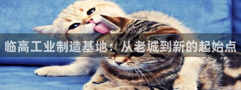 天宏娱乐集团代理：临高工业制造基地：从老城到新的起始点