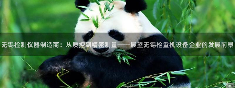 天宏娱乐老男孩成员：无锡检测仪器制造商：从质控到精密测量——