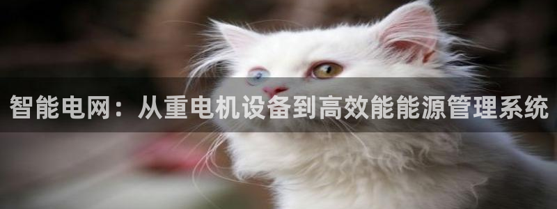 宏天广场娱乐会所电话：智能电网：从重电机设备到高效能能源管理