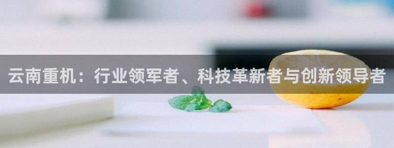 天宏娱乐陈叔：云南重机：行业领军者、科技革新者与创新领导者
